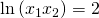 \ln \left ( x_{1}x_{2} \right )=2